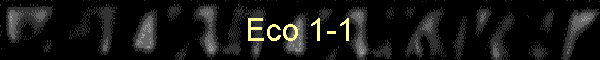 Eco 1-1
