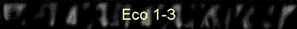 Eco 1-3